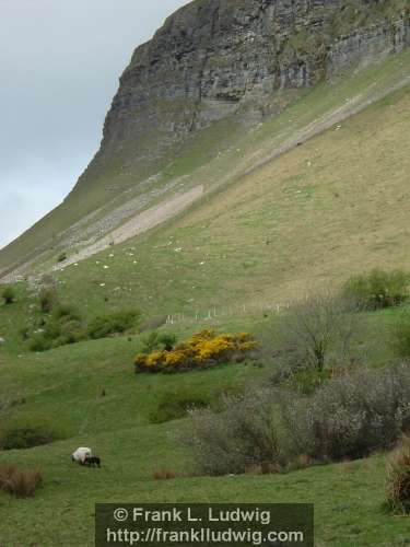 At King's Mountain, County Sligo